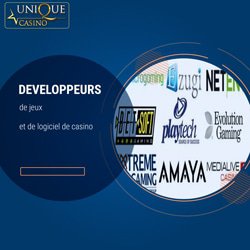 developpeurs-logiciels-alimentent-unique-casino